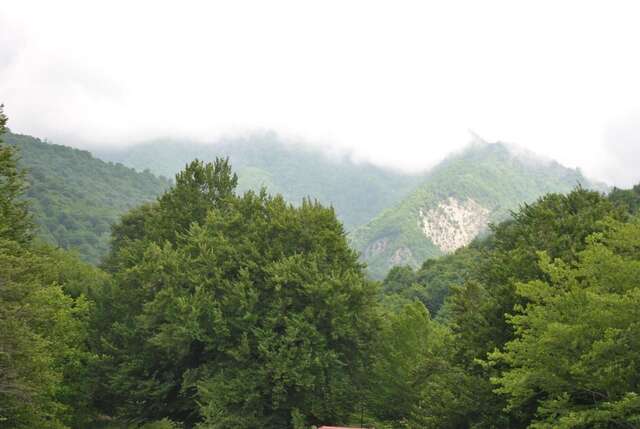 Комплексы для отдыха с коттеджами/бунгало Лесной парк Талистан Talıstan-15